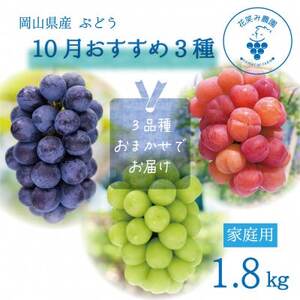 [2026年先行受付]岡山 花笑み農園の『10月おすすめ3種』家庭用 1.8kg(3房)3M-2L家[配送不可地域:離島]