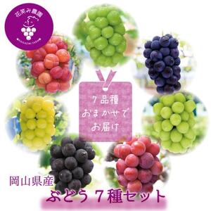 �y2026�N��s��t�z���R�@�ԏ΂ݔ_���̃u�h�E�w�H�ה��7��Z�b�g�x7M-5�y�z���s�n��F�����z�y1695982�z