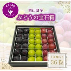 �y2026�N��s��t�z���R�@�ԏ΂ݔ_���w�u�h�E�̕�Δ��x3��ȏ�(36������)�@3M-��36�y�z���s�n��F�����z�y1696018�z