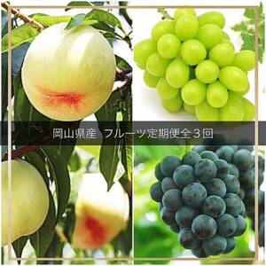 [発送月固定定期便]岡山県産 フルーツ定期便全3回[配送不可地域:離島・北海道・沖縄県]