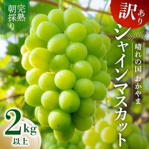 2026年発送[完熟朝採り]訳あり シャインマスカット 2.0kg以上[配送不可地域:離島]