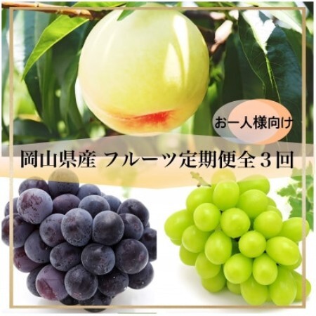 [発送月固定定期便]岡山県産 フルーツ定期便[お一人様向け]全3回[配送不可地域:離島]