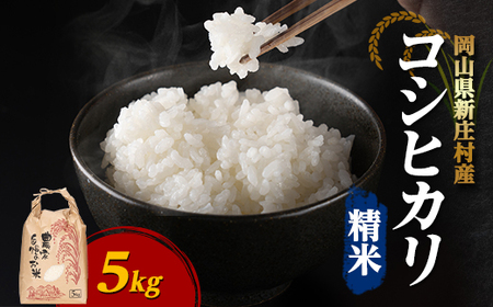 yߘa7NYzVăRVqJ ́uꓙāv(5kg×1) RŶāy1489804z