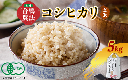 3002.【新米】令和6年産 有機愛ガモ米5Kg(玄米コシヒカリ 有機うるち玄米)【1489811】