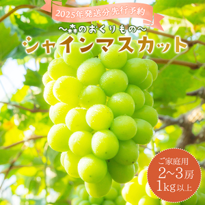 2025年発送分 先行予約[〜森のおくりもの〜]朝採り直送!シャインマスカット 1kg以上2〜3房(ご家庭用)[025-a017]