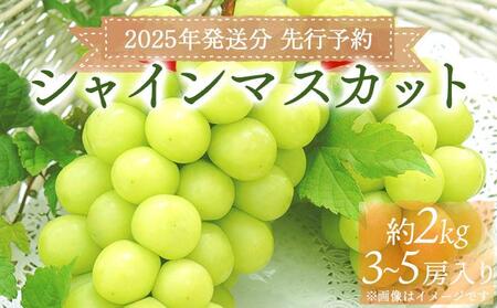 2025N s\񁄔~t@[ Eݒ VC}XJbgi3[?5[ 2kgjy030-a011z