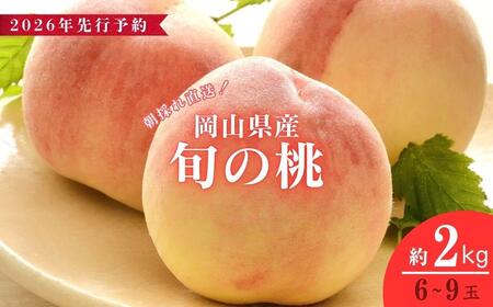 y2026Ns\zʌ聄RY I{̓ 2kgi6ʁ`9ʁjy037-a001z