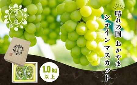 [先行予約 秋季 2026年9月上旬発送〜]シャインマスカット1.0kg(2〜3房)[021-a019]