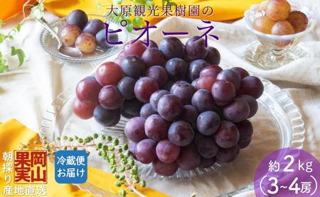 y2025Ns\zm匴όʎnsI[l 3?4[i2kgjϔm026-a013n
