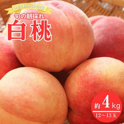 【2026年先行予約】白桃 1箱（約4kg 12～13玉）桃 もも モモ はくとう フルーツ 【026-a021】