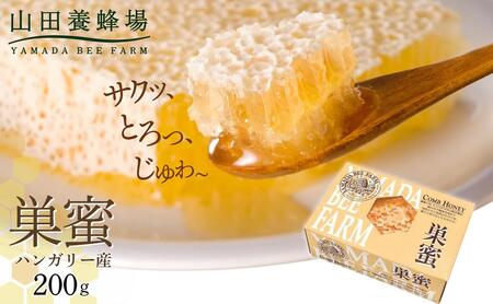 巣蜜(ハンガリー産)200g（4216）【006-a084】