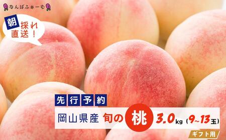 ʌ聄mȂ΂ӂ[ށnRY {̓ 3.0kgi9`13ʁj[Mtgp]y2026Nz