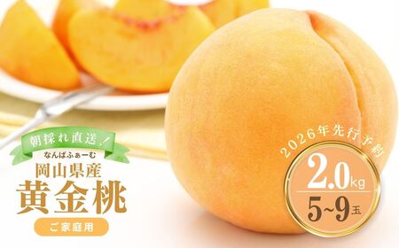 y2026Ns\zmȂ΂ӂ[ށnRY  2.0kgi5?9ʁjmƒpn039-a006