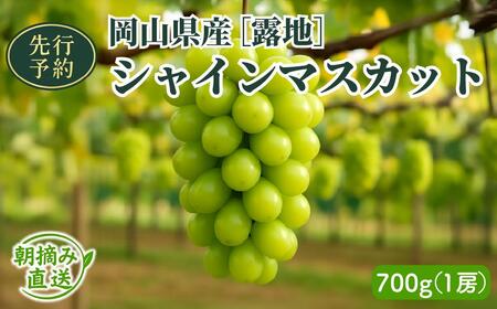 【2026年先行予約】［露地］岡山県産シャインマスカット 700g（１房入）