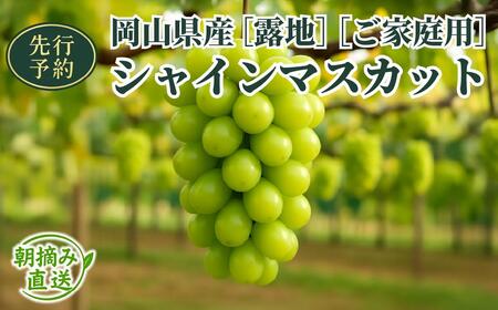 y2025Ns\zmInnRYVC}XJbg 2kg iR?T[jƒp