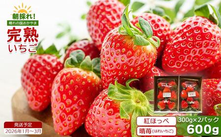 쒬Y ̂I{̊n 300g×2pbN2026N1`3y038-a003z