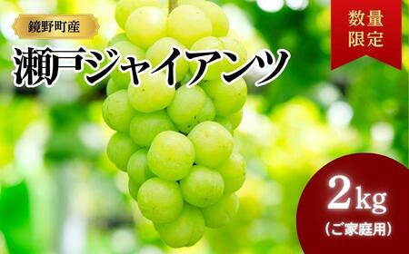 【期間限定】鏡野町産 瀬戸ジャイアンツ 2kg（ご家庭用）【004-a028】