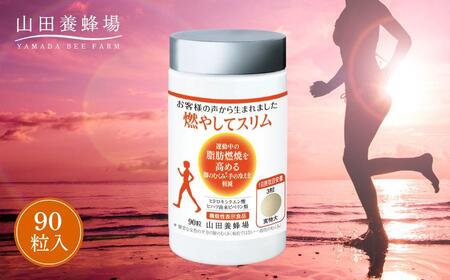 燃やしてスリム（28130）【006-a089】