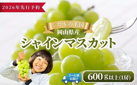 y2026N s\zRY VC}XJbg 600gȏi1[jyƒpzy025-a034z