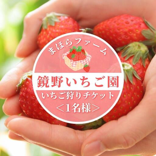鏡野町まほらファーム いちご狩りご招待券（1名様）【2026年2月～5月】【029-a016】