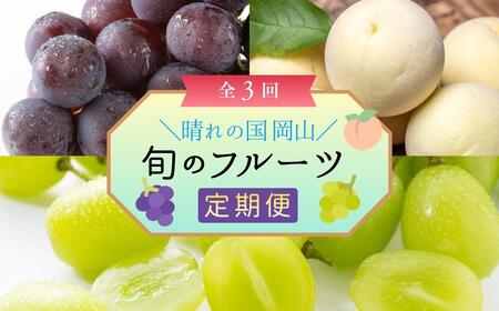 ＜定期便3回＞ 岡山白桃、シャインマスカット晴王、ぼっけぇピオーネの3回コース [040-a014]