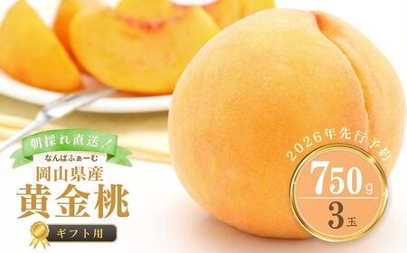 【2026年先行予約】［なんばふぁーむ］岡山県産 黄金桃 750g（3玉）[ギフト用]【039-a014】