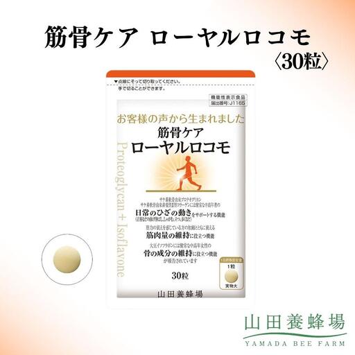 筋骨ケア　ローヤルロコモ〈30粒〉（02178）【006-a143】【山田養蜂場】