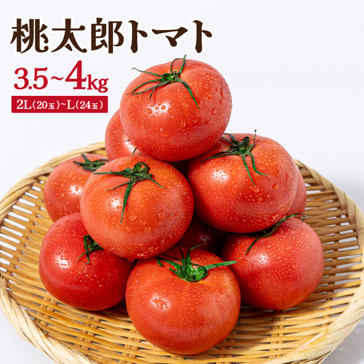 桃太郎トマト　3.5kg～4kg　2L(20玉)～L(24玉)
