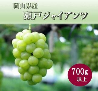 岡山県 勝央町産 ぶどう 瀬戸ジャイアンツ 700g以上 (1房) ＜10月発送＞ _A6