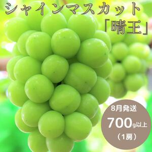岡山県 勝央町産 シャインマスカット 700g以上(1房) ＜8月発送＞ _A10