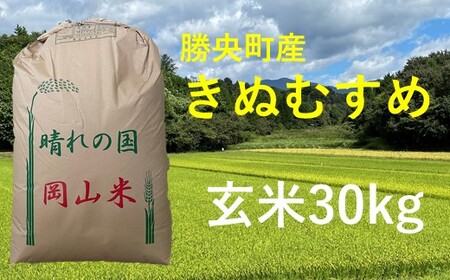 令和6年産 食味コンテスト受賞者の作るお米シリーズ「きぬむすめ玄米30kg」_[11月から3月発送]