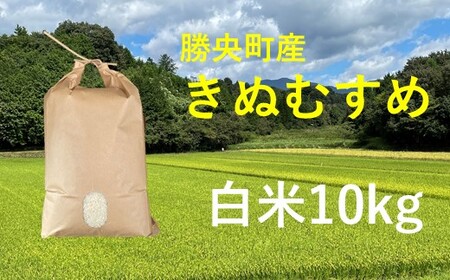 令和6年産 食味コンテスト受賞者の作るお米シリーズ「きぬむすめ白米10kg」_[11月から3月発送]
