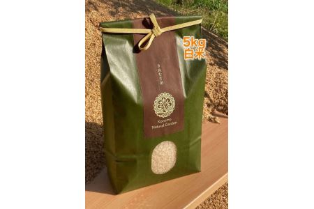 Kocomo's きぬむすめ 白米 5kg 