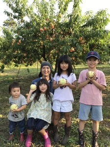 光田さん 自慢の桃 白鳳 3kg(7～9玉) _S113