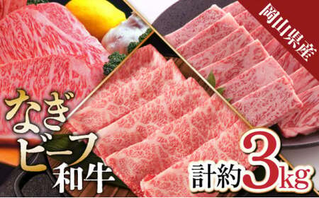 [岡山県産なぎビーフ和牛] 肩ロースすき焼き用約1kg 焼肉用約1kg サーロインステーキ約250g×4 合計3kg 黒毛和牛 牛肉 小分け 冷凍