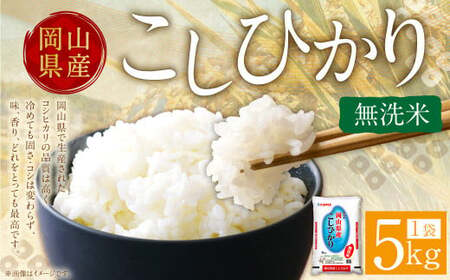 [令和6年産] 無洗米 岡山県産 こしひかり 5kg [2025年8月下旬迄順次発送予定] コシヒカリ 米 お米 こめ kome コメ ご飯 ごはん