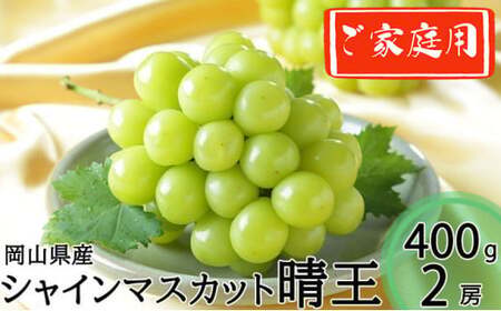ƒp VC}XJbg  400g×2[ v800g y2025N8{`11{z R 햳 Ȃ }XJbg ʕ  t[c Ԃǂ uhE  ①