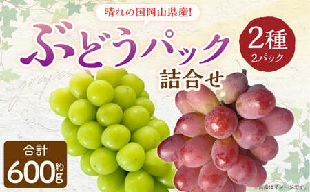 岡山県産 ぶどう パック詰合せ ※2種2パックセット [2025年9月上旬〜11月下旬発送予定] 岡山 シャインマスカット 旬 果物 くだもの フルーツ ぶどう ブドウ 葡萄 セット