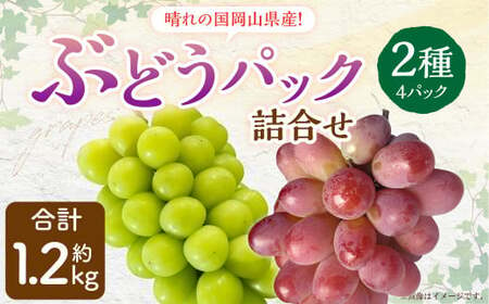 岡山県産 ぶどう パック詰合せ ※2種4パックセット [2025年9月上旬〜11月下旬発送予定] 岡山 シャインマスカット 旬 果物 くだもの フルーツ ぶどう ブドウ 葡萄 セット