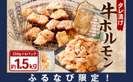 [ふるなび限定]タレ漬け 牛ホルモン 1.5kg(250g×6パック) 牛肉 牛 お肉 肉 たれ タレ ホルモン 焼き肉 焼肉 小分け 冷凍 FN-Limited