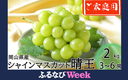 [ふるなびWEEK対象]ご家庭用 岡山県産 シャインマスカット 晴王 約2kg(3房〜6房) [2025年8月下旬〜11月下旬迄発送予定] 果物 くだもの フルーツ ぶどう ブドウ 葡萄 マスカット FN-Limited