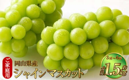 ご家庭用 岡山県産 シャインマスカット 晴王 約1.5kg(3房〜6房) [2025年8月下旬〜11月下旬迄発送予定] 果物 くだもの フルーツ ぶどう ブドウ 葡萄 マスカット