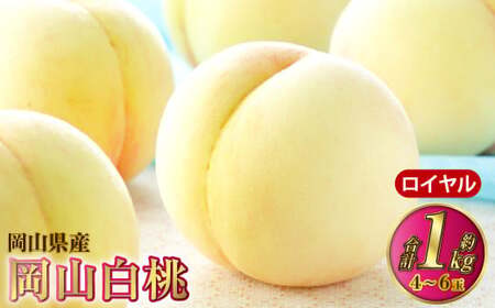岡山白桃 ロイヤル 4〜6玉 約1kg 岡山県産[2025年7月上旬〜8月下旬発送予定] 白桃 桃 もも モモ