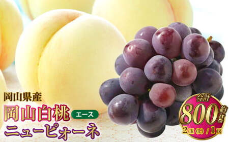 岡山県産 岡山白桃 エース Lサイズ 約200g×2玉・ニューピオーネ 約400g×1房 詰合せ [2025年7月上旬〜8月下旬発送予定] 白桃 桃 もも モモ ピオーネ ぶどう 葡萄 ブドウ セット