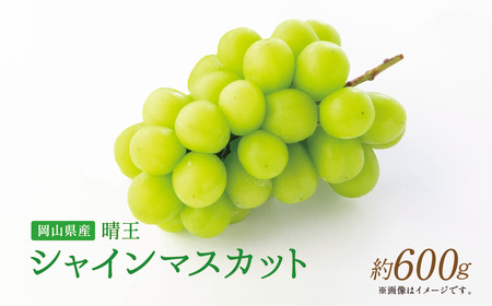 [岡山県産]晴王 シャインマスカット 約600g 1房 [2025年9月上旬〜11月下旬発送予定] マスカット ぶどう ブドウ 葡萄