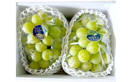 Ԃǂ 2026N s\ VC }XJbg 2[ v1.4kgȏ uhE   RY Y t[c ʕ Mtg ͖{_ y2026N9{`9{\z