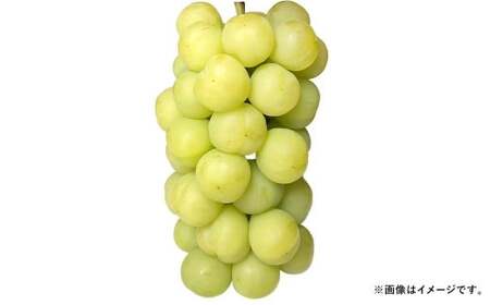 Ԃǂ 2026N s\ ˃WCAc 3[ v2kgȏ uhE   RY Y t[c ʕ Mtg ͖{_ y2026N9{`9{\z