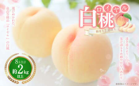  8ʁi2kgȏj FC ϔ y2026N7{`8{\z    ʕ  t[c ① Y