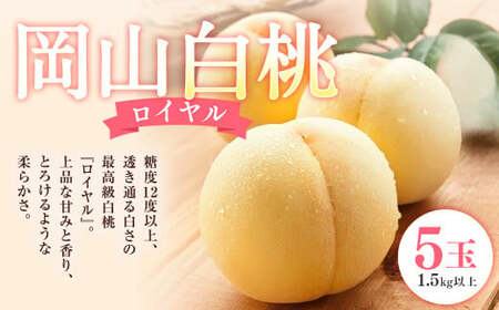 岡山 白桃 ロイヤル 5玉 (合計1.5kg以上) 化粧箱入り [2026年7月上旬〜8月上旬迄発送予定] はくとう モモ もも 桃 フルーツ 果物 くだもの 冷蔵