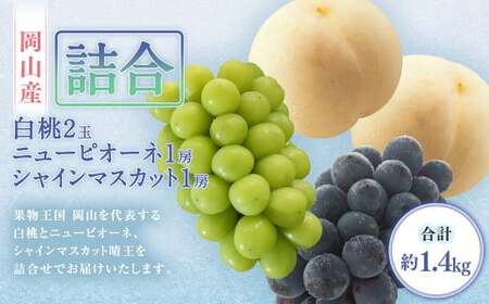 詰合/ 白桃 2玉(1玉220g以上)・ ニューピオーネ 1房(480g以上)・ シャインマスカット 房( 晴王 ・480g) 合計約1.2kg 化粧箱入り [2026年7月下旬〜8月上旬迄発送予定] 桃 もも 葡萄 ブドウ ぶどう フルーツ 果物 ギフト 国産 岡山県産